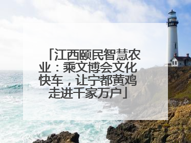 江西颐民智慧农业：乘文博会文化快车，让宁都黄鸡走进千家万户