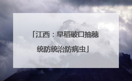 江西：早稻破口抽穗 统防统治防病虫