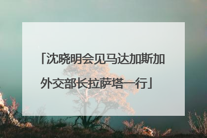 沈晓明会见马达加斯加外交部长拉萨塔一行