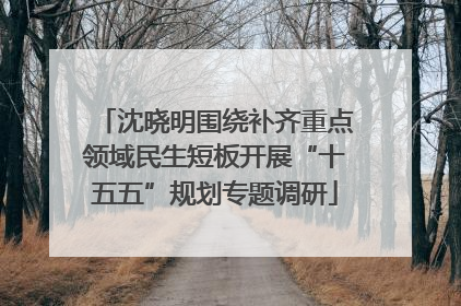 沈晓明围绕补齐重点领域民生短板开展“十五五”规划专题调研