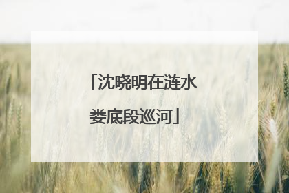 沈晓明在涟水娄底段巡河