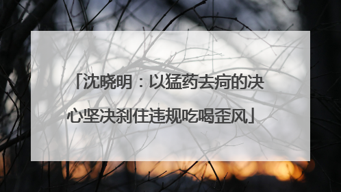 沈晓明：以猛药去疴的决心坚决刹住违规吃喝歪风