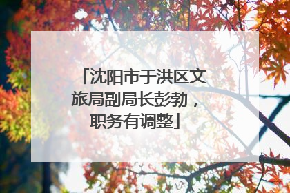 沈阳市于洪区文旅局副局长彭勃，职务有调整