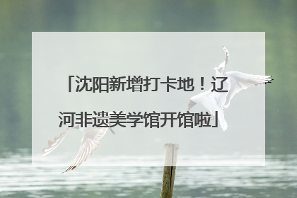 沈阳新增打卡地！辽河非遗美学馆开馆啦