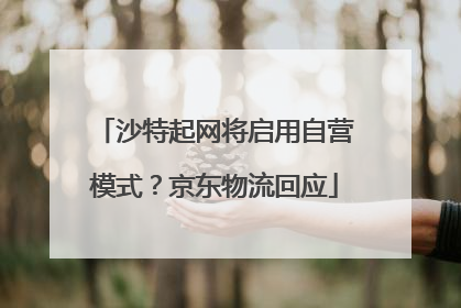 沙特起网将启用自营模式？京东物流回应