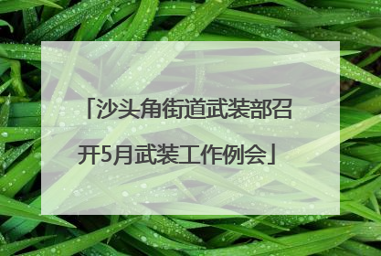 沙头角街道武装部召开5月武装工作例会