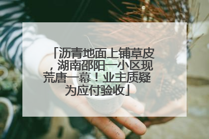 沥青地面上铺草皮，湖南邵阳一小区现荒唐一幕！业主质疑为应付验收