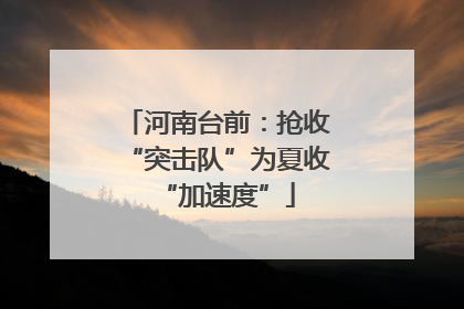 河南台前：抢收“突击队”为夏收“加速度”