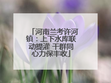 河南兰考许河镇：上下水库联动提灌 干群同心力保丰收
