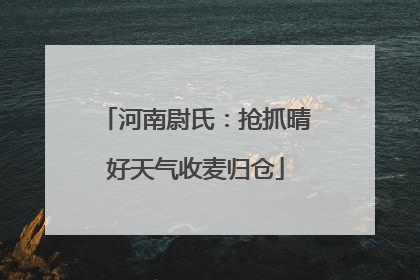 河南尉氏：抢抓晴好天气收麦归仓