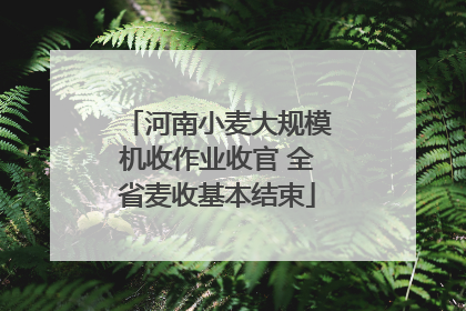 河南小麦大规模机收作业收官 全省麦收基本结束