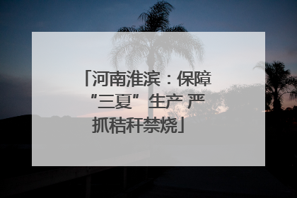 河南淮滨：保障“三夏”生产 严抓秸秆禁烧