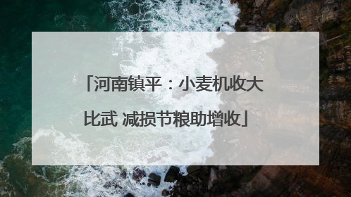 河南镇平：小麦机收大比武 减损节粮助增收