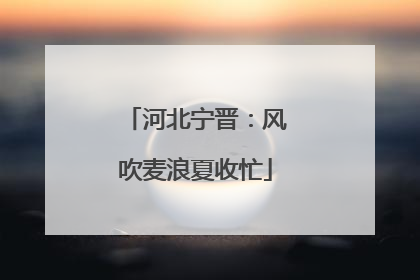 河北宁晋：风吹麦浪夏收忙