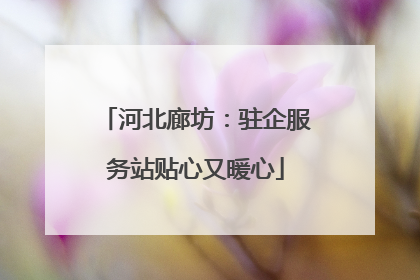河北廊坊：驻企服务站贴心又暖心