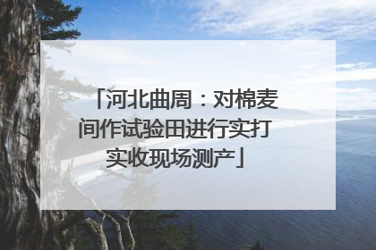 河北曲周：对棉麦间作试验田进行实打实收现场测产