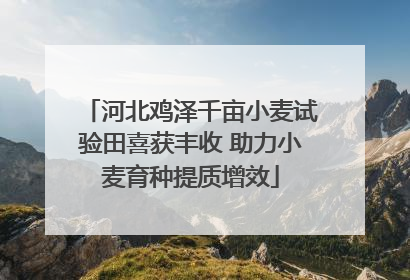河北鸡泽千亩小麦试验田喜获丰收 助力小麦育种提质增效