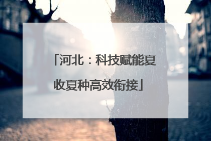 河北：科技赋能夏收夏种高效衔接