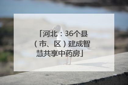 河北：36个县（市、区）建成智慧共享中药房