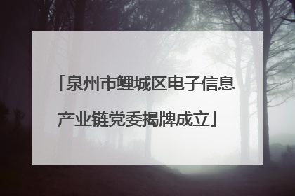 泉州市鲤城区电子信息产业链党委揭牌成立