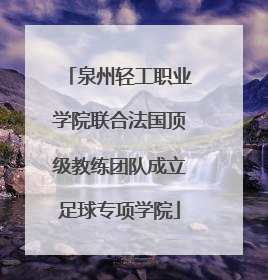 泉州轻工职业学院联合法国顶级教练团队成立足球专项学院