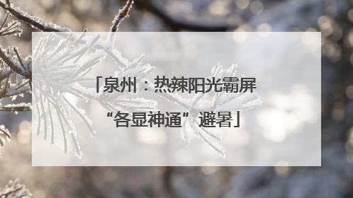 泉州：热辣阳光霸屏 “各显神通”避暑