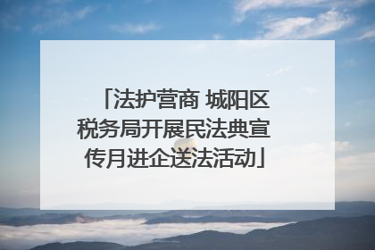 法护营商 城阳区税务局开展民法典宣传月进企送法活动