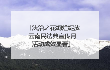 法治之花绚烂绽放 云南民法典宣传月活动成效显著