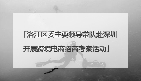 洛江区委主要领导带队赴深圳开展跨境电商招商考察活动