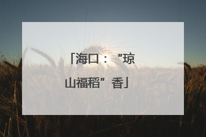 海口：“琼山福稻”香