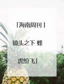 海南周刊丨镜头之下 蜂虎纷飞