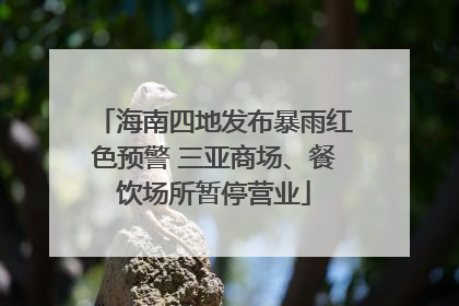 海南四地发布暴雨红色预警 三亚商场、餐饮场所暂停营业