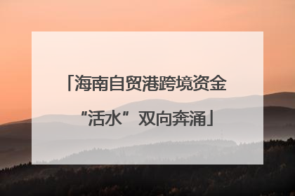 海南自贸港跨境资金“活水”双向奔涌