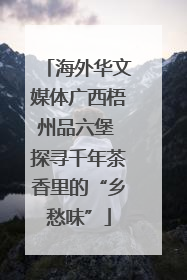 海外华文媒体广西梧州品六堡 探寻千年茶香里的“乡愁味”