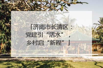 济南市长清区：党建引“活水”，乡村启“新程”