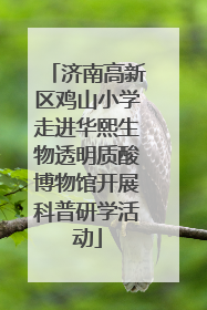 济南高新区鸡山小学走进华熙生物透明质酸博物馆开展科普研学活动
