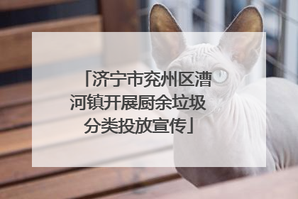 济宁市兖州区漕河镇开展厨余垃圾分类投放宣传
