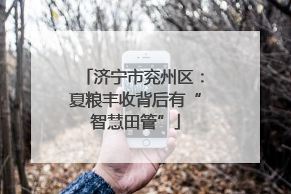 济宁市兖州区：夏粮丰收背后有“智慧田管”