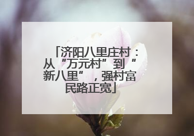 济阳八里庄村：从“万元村”到“新八里”，强村富民路正宽