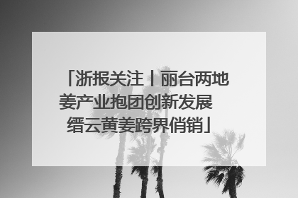 浙报关注丨丽台两地姜产业抱团创新发展 缙云黄姜跨界俏销