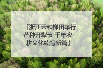 浙江云和梯田举行芒种开犁节 千年农耕文化续写新篇