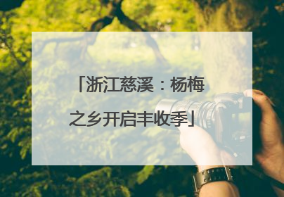浙江慈溪：杨梅之乡开启丰收季