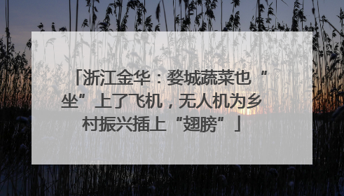 浙江金华：婺城蔬菜也“坐”上了飞机，无人机为乡村振兴插上“翅膀”
