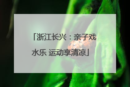浙江长兴：亲子戏水乐 运动享清凉