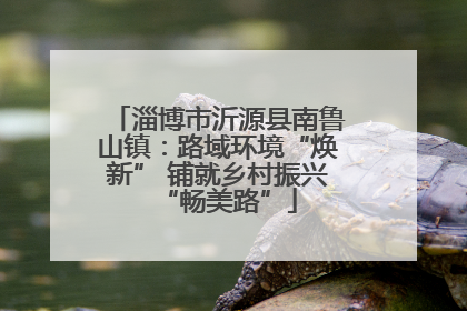 淄博市沂源县南鲁山镇：路域环境“焕新” 铺就乡村振兴“畅美路”