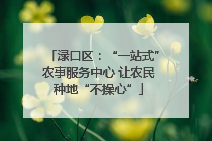 渌口区：“一站式”农事服务中心 让农民种地“不操心”