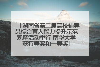 湖南省第二届高校辅导员综合育人能力提升示范观摩活动举行 南华大学获特等奖和一等奖