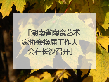 湖南省陶瓷艺术家协会换届工作大会在长沙召开