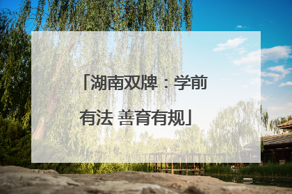 湖南双牌：学前有法 善育有规