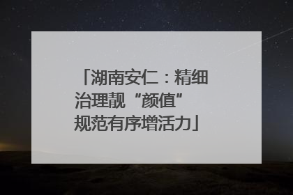 湖南安仁：精细治理靓“颜值” 规范有序增活力